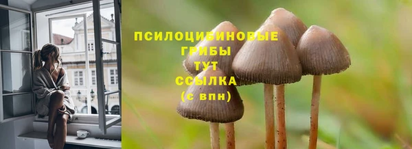 стафф Аркадак