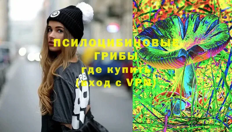 купить  сайты  Бор  Псилоцибиновые грибы Magic Shrooms 